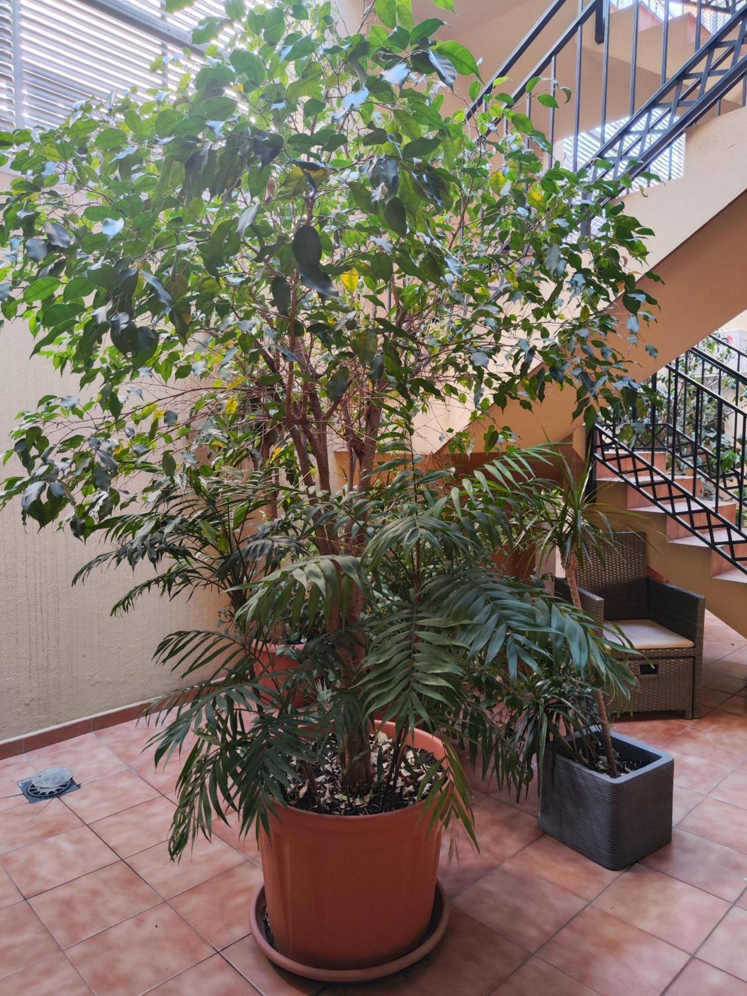 Malaga Experience Apartment Luaran gambar