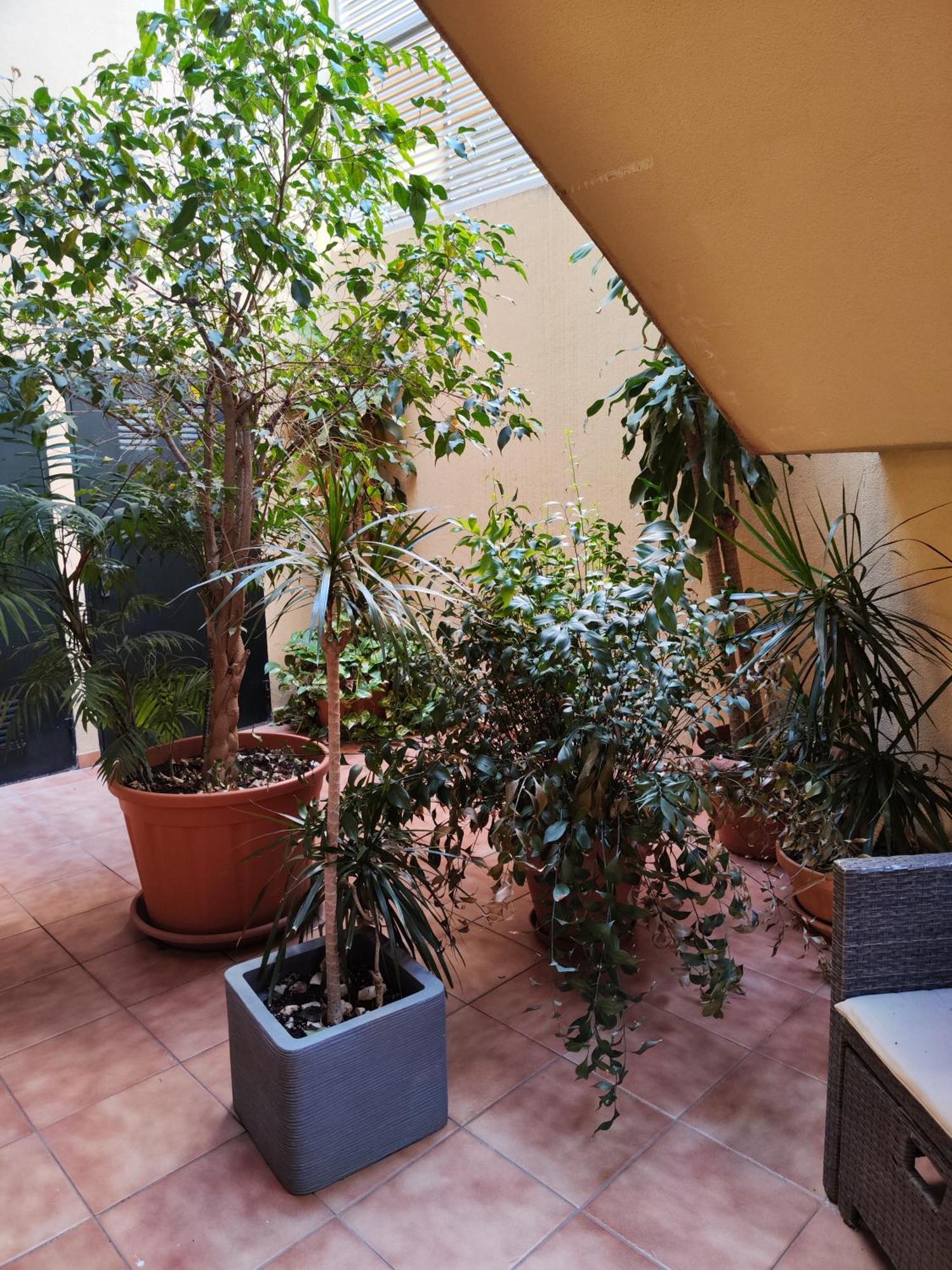 Malaga Experience Apartment Luaran gambar